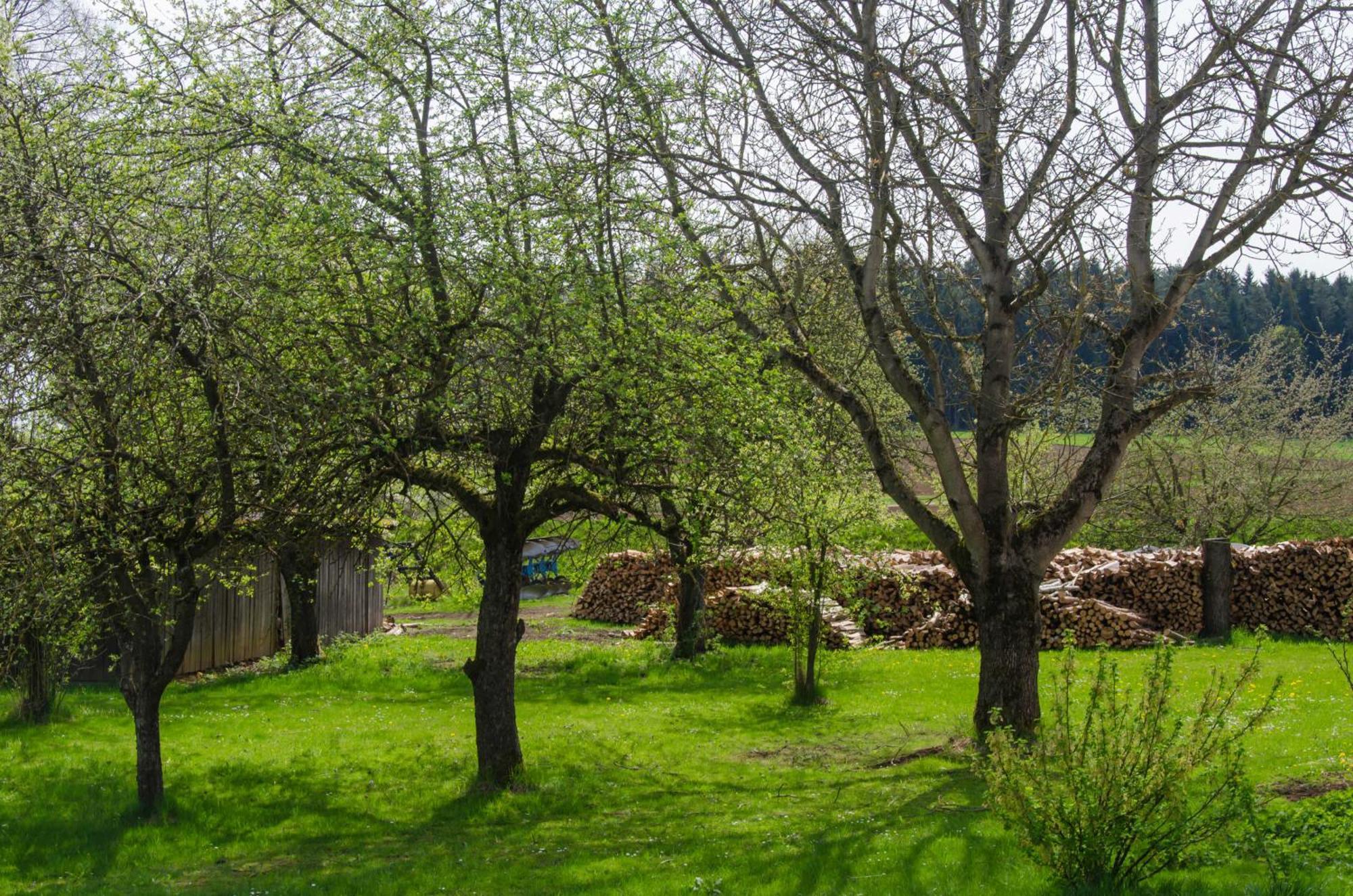 Ferienwohnung Kobelsberg Ауфсес Екстериор снимка